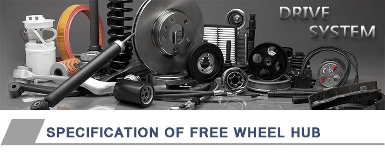 Free-wheel-hub_