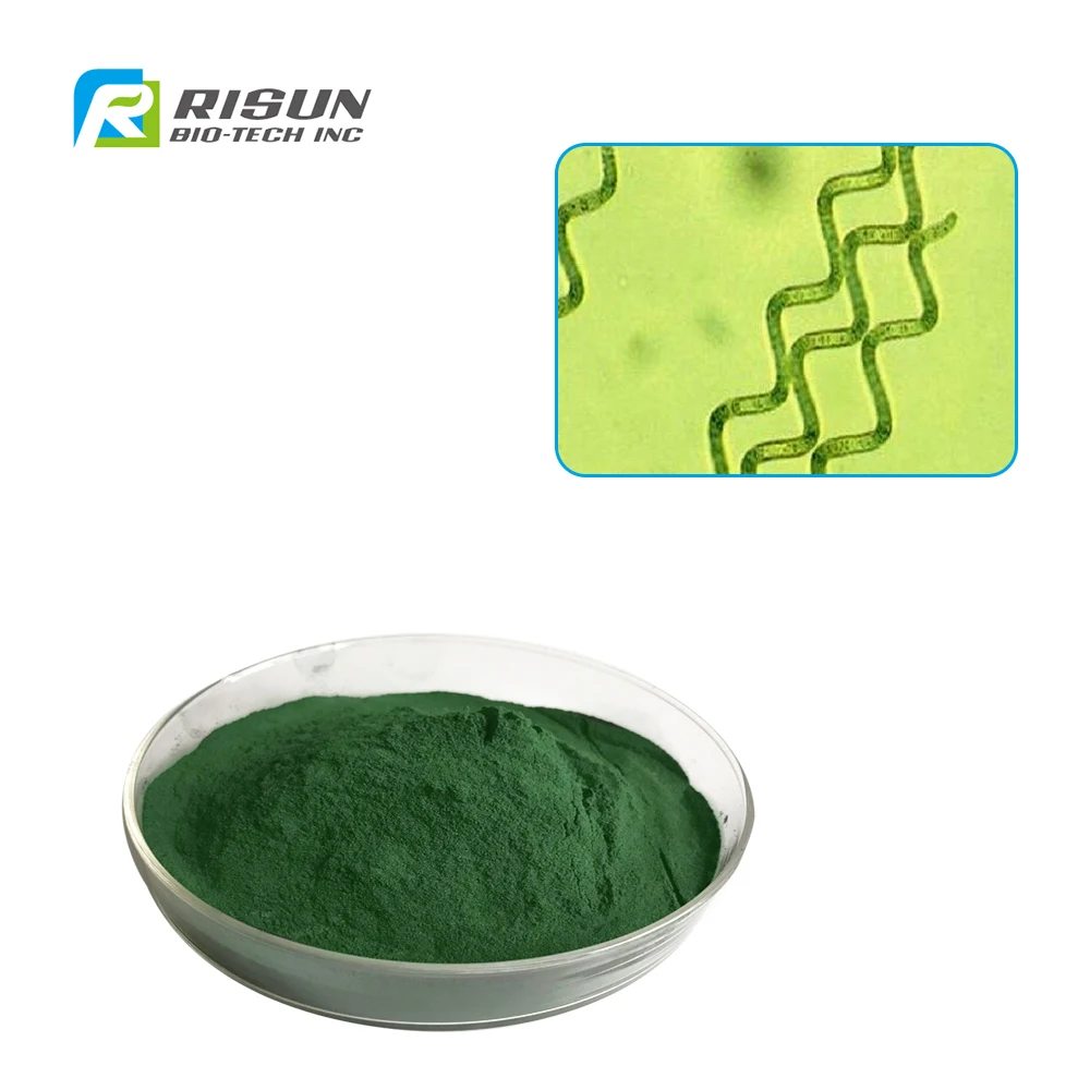 100 Natural Green Algae Powder Spirulina Powder Buy Spirulina Powder