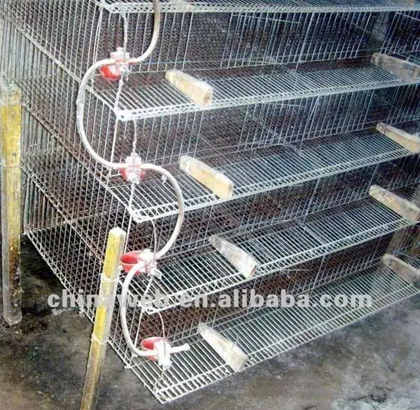 Large pigeon cage(manufacture)