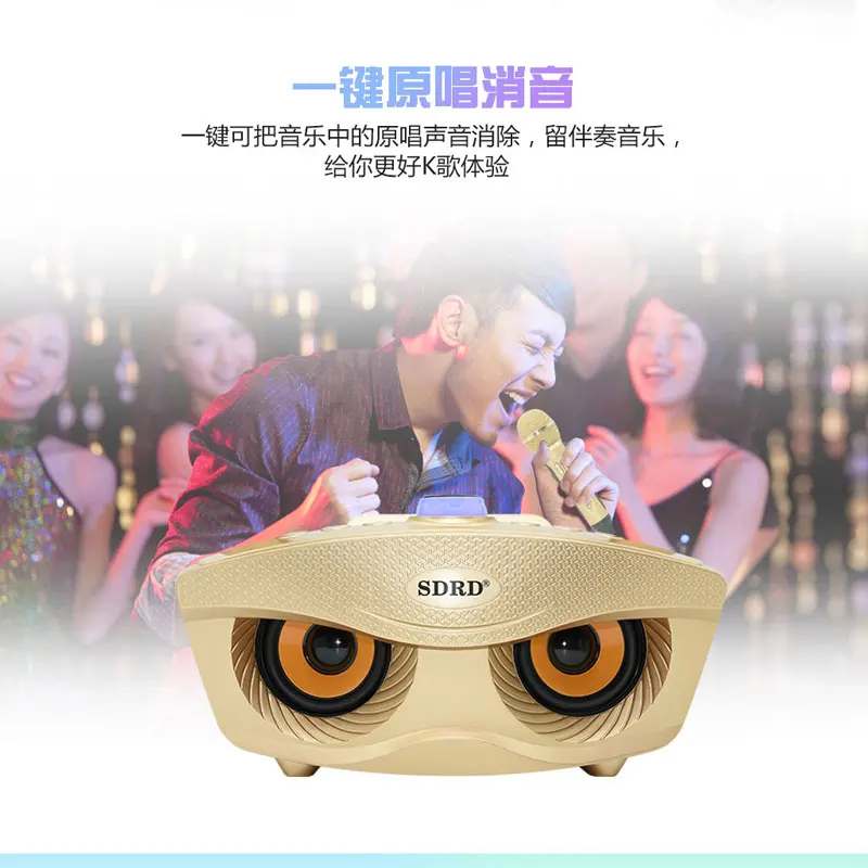 

Family KTV Karaoke Speaker ,double microphone,3D Stereo Surround Sound,with USB/BT wireless/TF Slot China factory supply