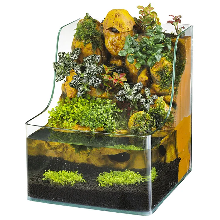 aquaponics with viewing window making it an aquarium as