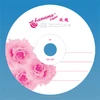 Best price blank cd-r 52X banana design cdr