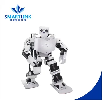 kit robot humanoide