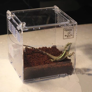 small reptile cage