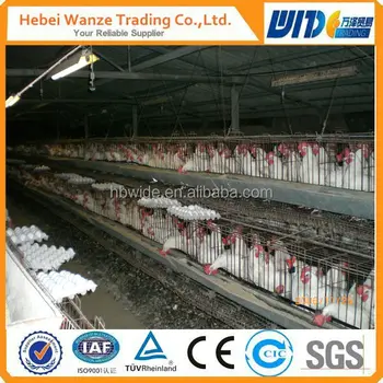 Chicken Cagedesign Layer Chicken Cage For Sale In Philippinesafrica Buy Chicken Breeding Cagechicken Egg Layer Cageschicken Layer Cage Price