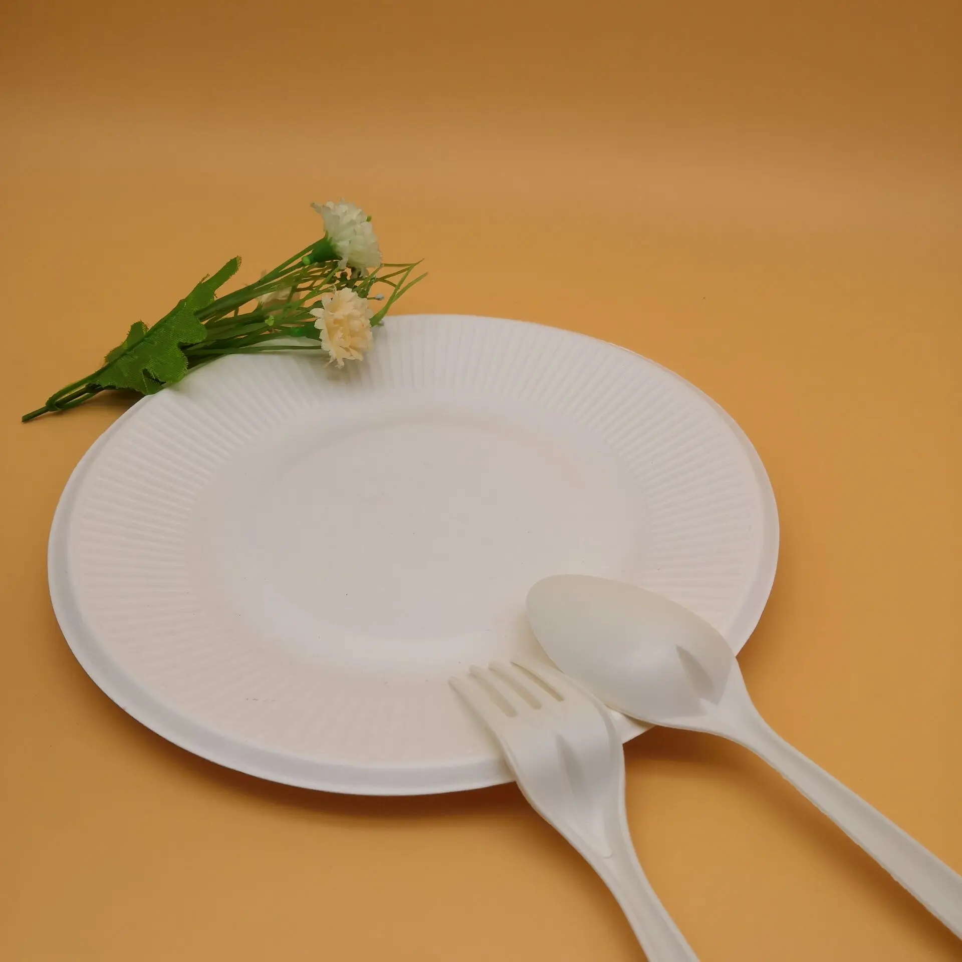 
Biodegradable disposable sugancane bagasse small round striped elegant Plate 