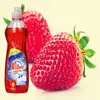 China OEM free design wholesale price dish washing liquid soap