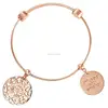 fashion quantum energy bangle form Soul healthcase bangle