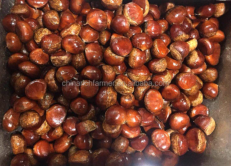 New Arrival Fresh Bulk Chestnut Buy Fresh Chestnut,Bulk Chestnut