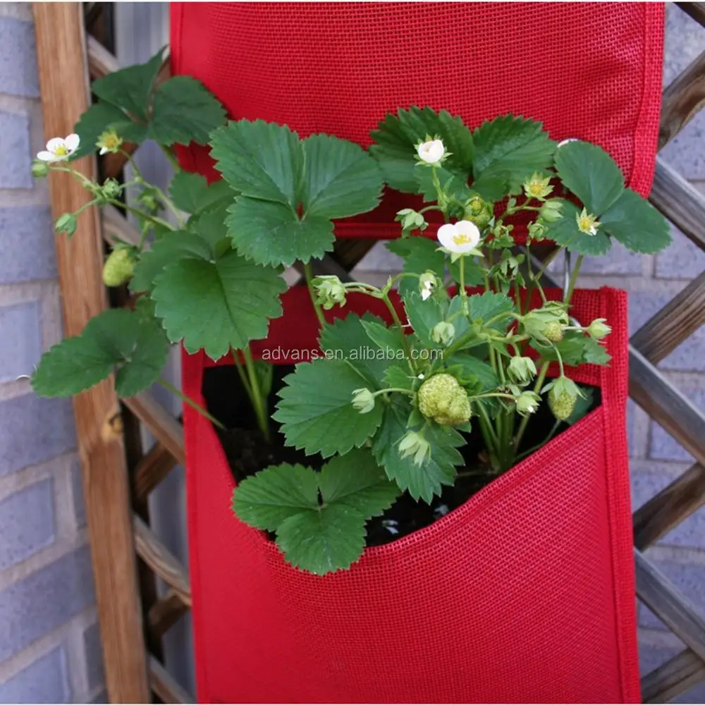 Hanging Plant Bag.jpg