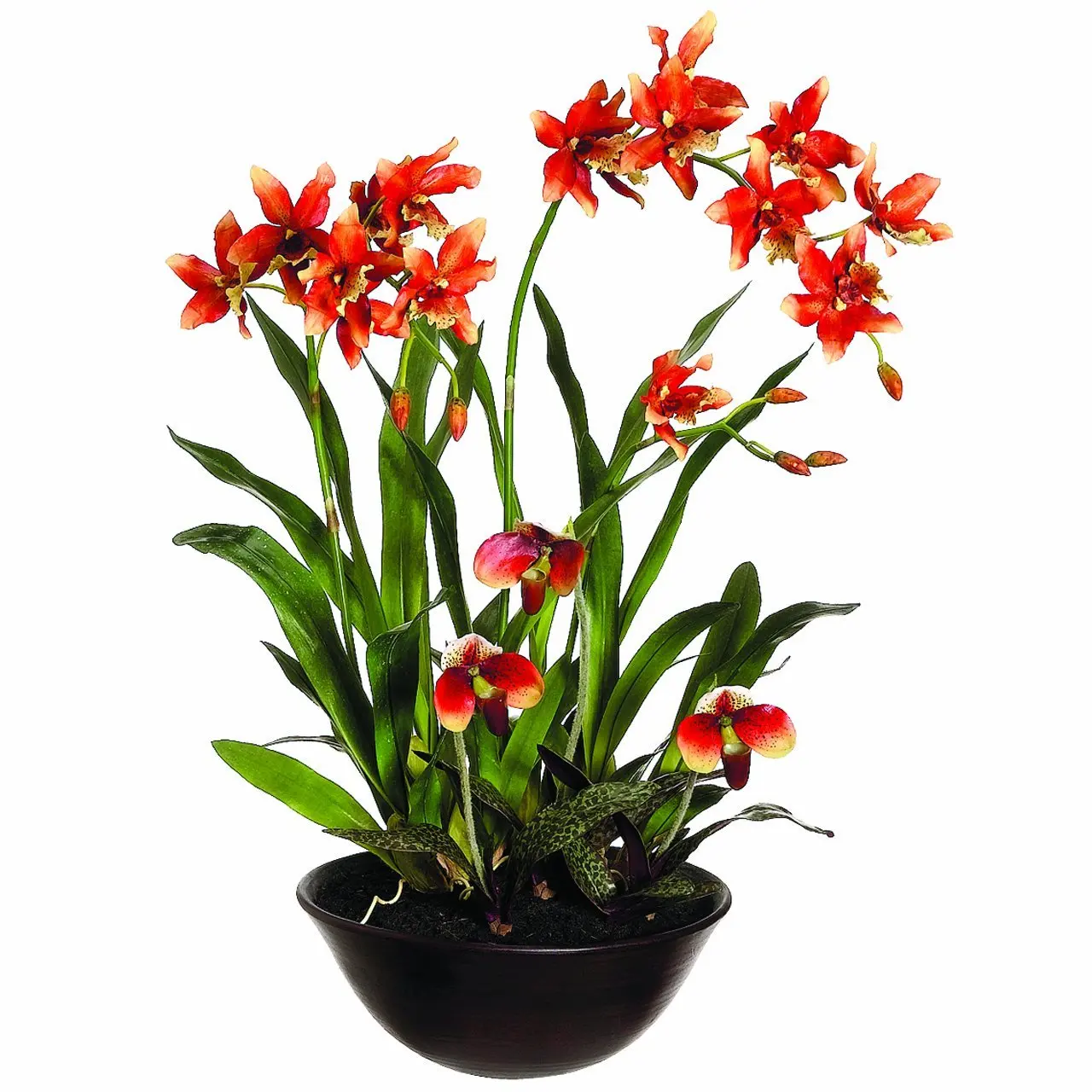 Silk Décor Oncidium/Lady's Slipper Orchid Floral Arrangements, 28-Inch
