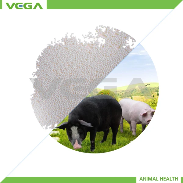 coated sodium butyrate/butyric acid in feed grade minerals &amp