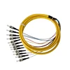 Network Project FTTH Single Mode 12 Core ST Pigtail Fiber Optic Patch Cord