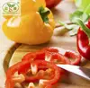 /product-detail/premium-selection-colourful-bell-pepper-62209865203.html