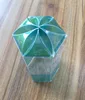 Custom Super Quality Clear Plastic Foldable PET Gift Packaging Box