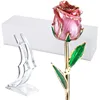24k Gold Rose Flower with Long Stem Rose Dipped in Gold Gift for Women Girls for Birthday, Valentine's Day Mother's Day gift
