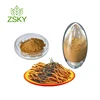 Hot Sale Cordyceps Sinensis Extract Price from GMP Certificated Factory