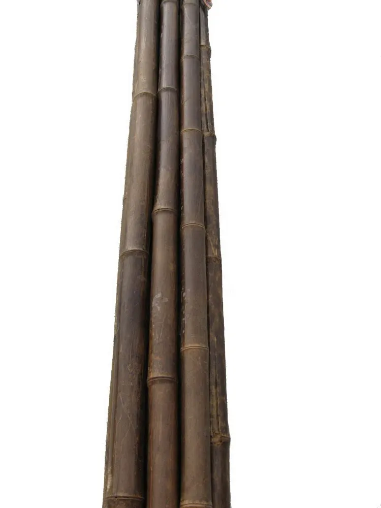 YS5918.jpg