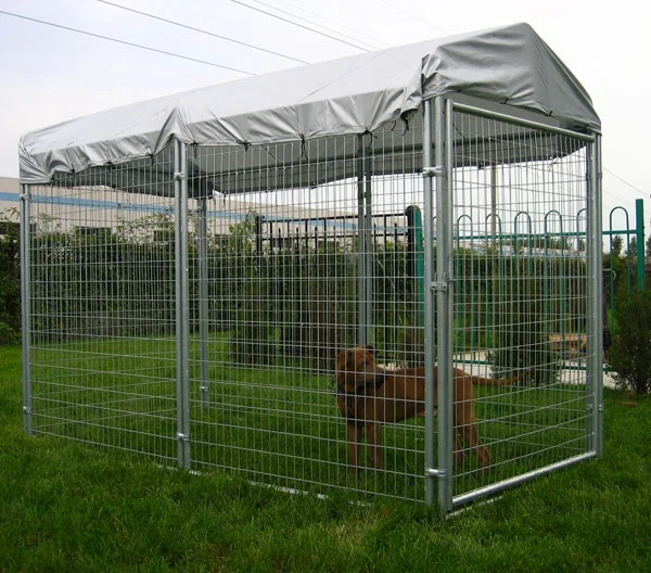 collapsible dog kennel