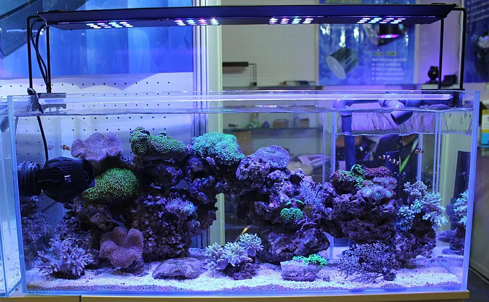 Best Selling Products Cheap Dimmable Full Spectrum Led Aquarium Grow