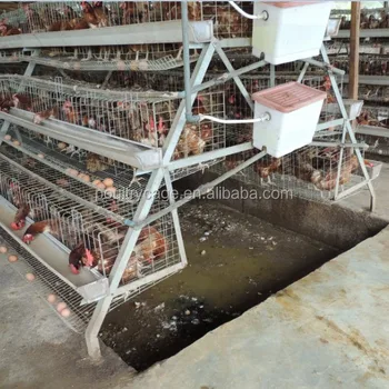 Enriched Colony System Poultry Chicken Cage Sale In Kenya - Buy ...