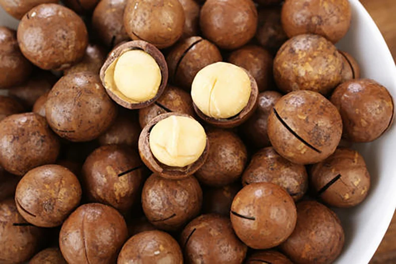 grade aa raw and roasted macadamia nuts