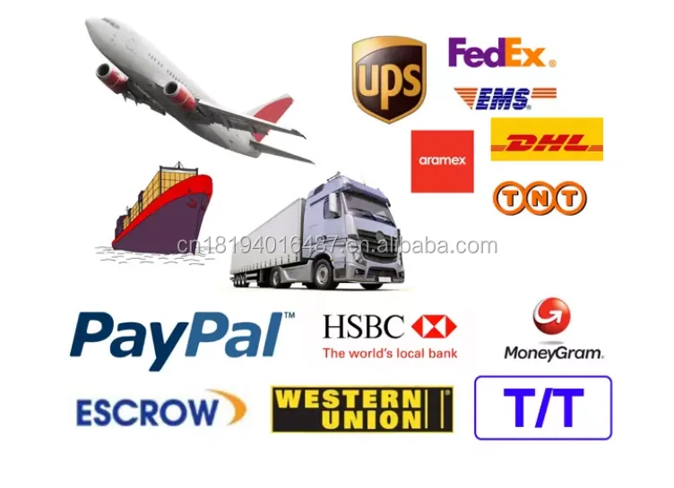 Packing&Shipment.png