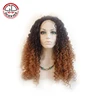Wig Type and Lace Front Wig Technique Fashion Curly Afro Synthetic Lace Front Wigs For Black Women.