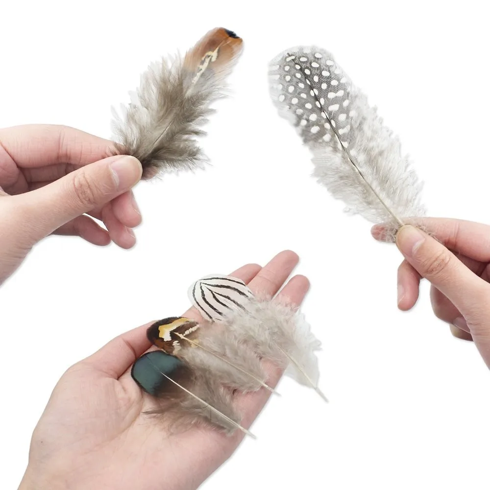 180pcs 6 Styled Feathers Assorted Mixed Feathers For Dream Catcher