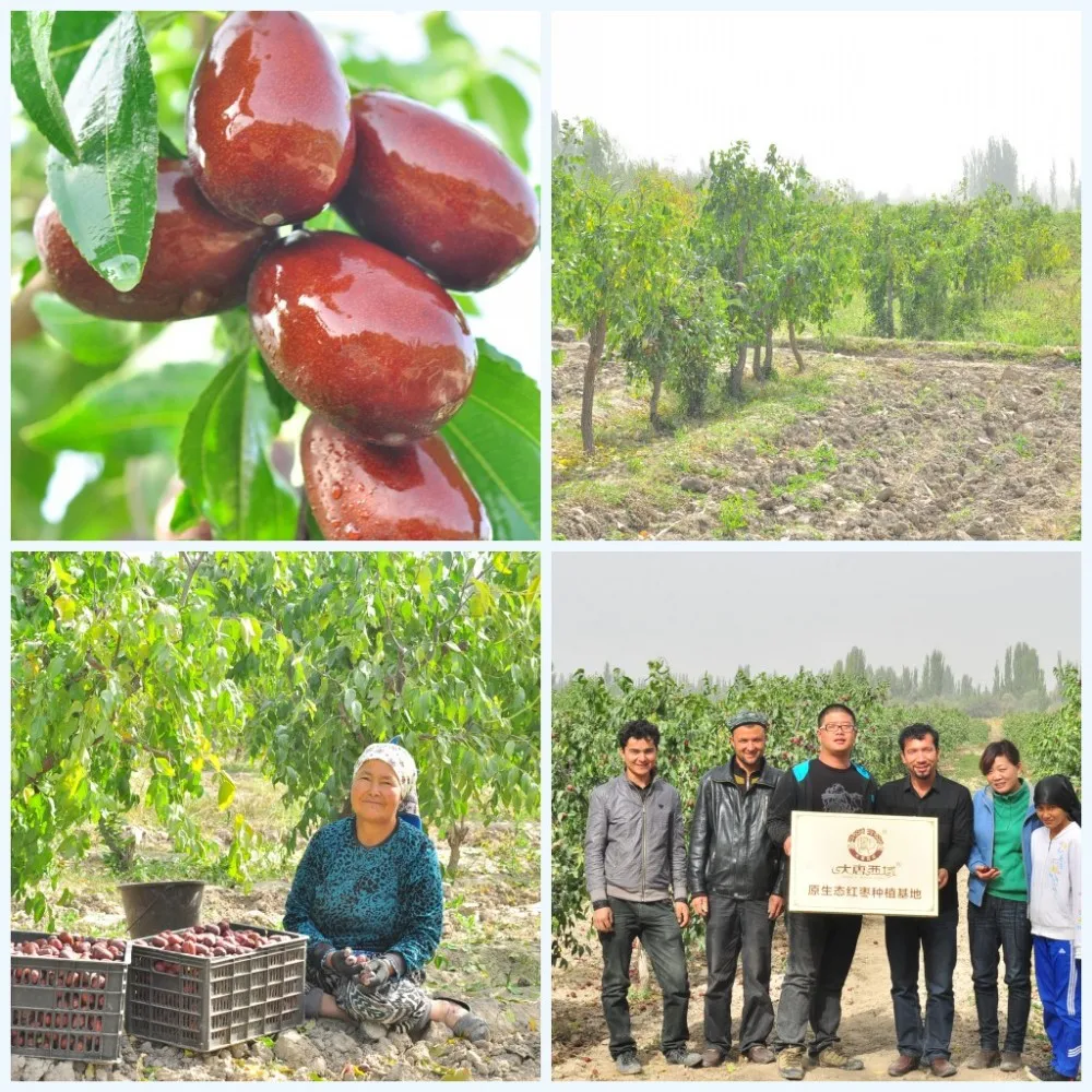 
Natural dried fruit wholesale dried fruit suppliers walnuts in red dates chinese dried red dates for sale 