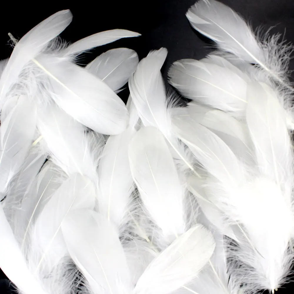 wholesale feathers uk