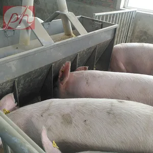 Animal Feeder Stainless Steel Pig Feed Trough For Pig Farm Used