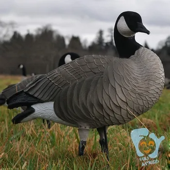 Goose Decoys For Sale >> Inflatable Canada Goose Decoy For Sale Buy Inflatable Goose Decoy Inflatable Canada Goose Decoy Inflatable Goose Decoy For Sale Product On Goose Decoys For Sale >> Inflatable Canada Goose Decoy For Sale Buy Inflatable Goose Decoy Inflatable Canada Goose Decoy Inflatable Goose Decoy For Sale Product On