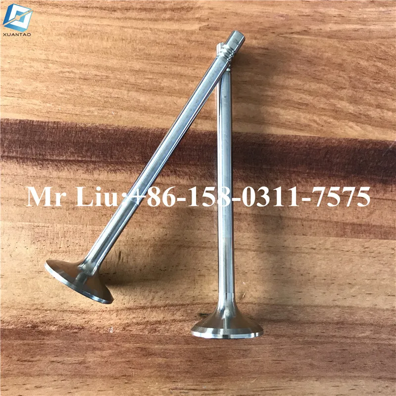 Stock Engine Valve Man Tga Eng D2066 D2676 Intake Valve And Exhaust