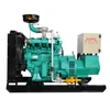 CHP biogas power generator with soundproof canopy 20kW