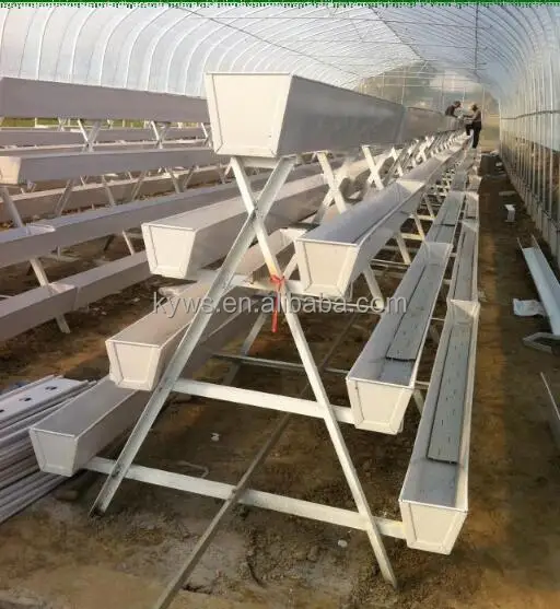 
Hydroponic substrate cultivation plastic gutter for lettuces 