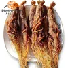 Korean Red Ginseng Root/Panax Ginseng Root Low Pesticides Bulk Price