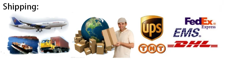 Women's Flamenco Waltz Long Sleeve Stage Dance Dress