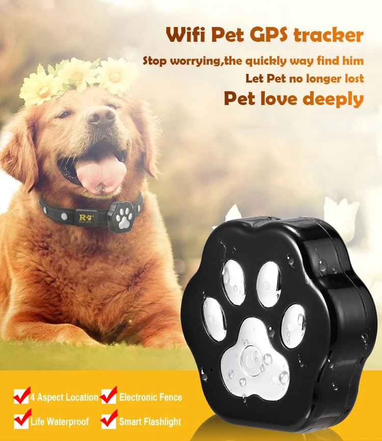 Pas Cher Chasse Mondes Plus Petit Mini Traction Silicone Verrouillage Suivi Tracker Pour Animaux De Compagnie Chien Collier Gps Pour Chien Buy