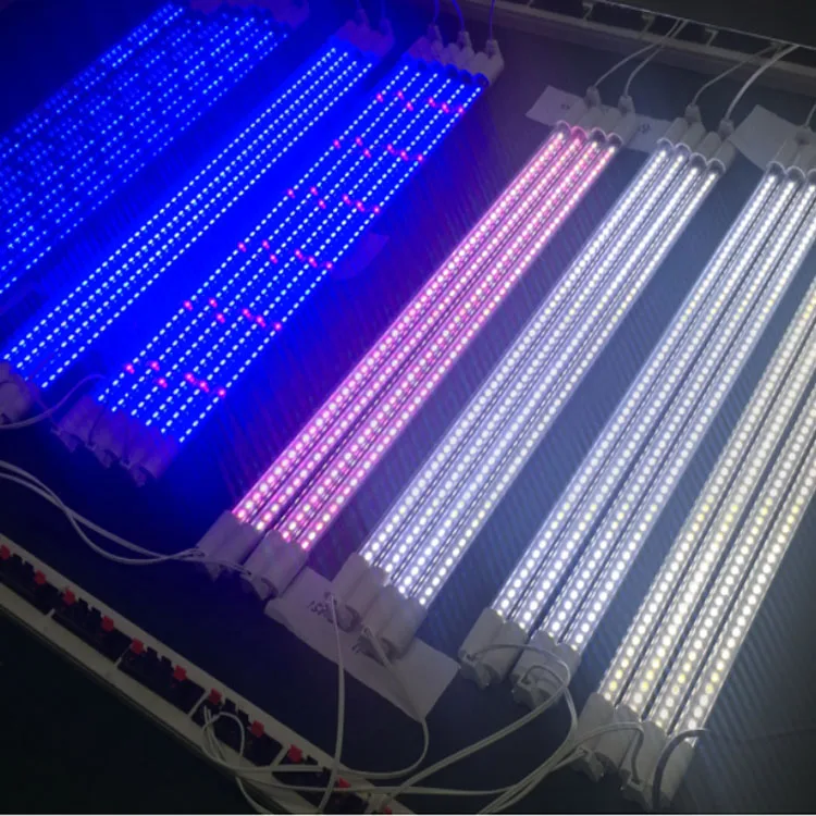 Aquarium light-PD.jpg