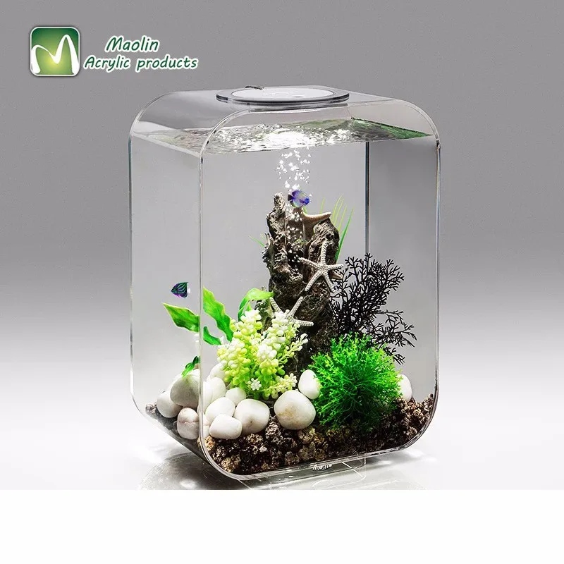 standard smooth dachshund for sale