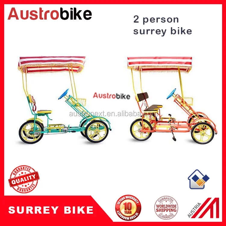 2 person surrey bike