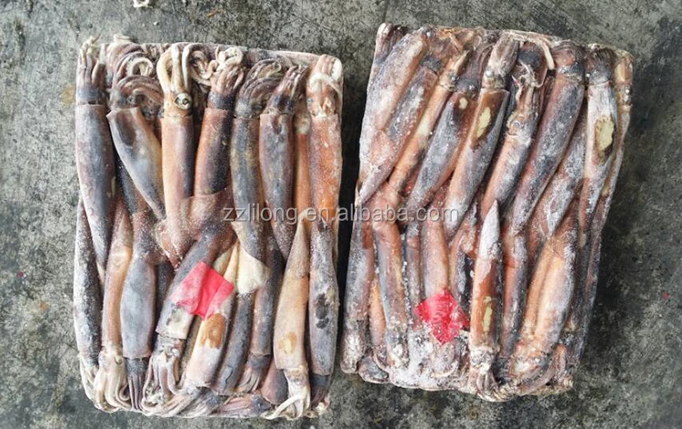 200 to 300g illex argentinua frozen squid price wholesale