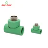 Plastic Water Pipe Fitting Ppr Material Fitting Female Brass Equal Tee