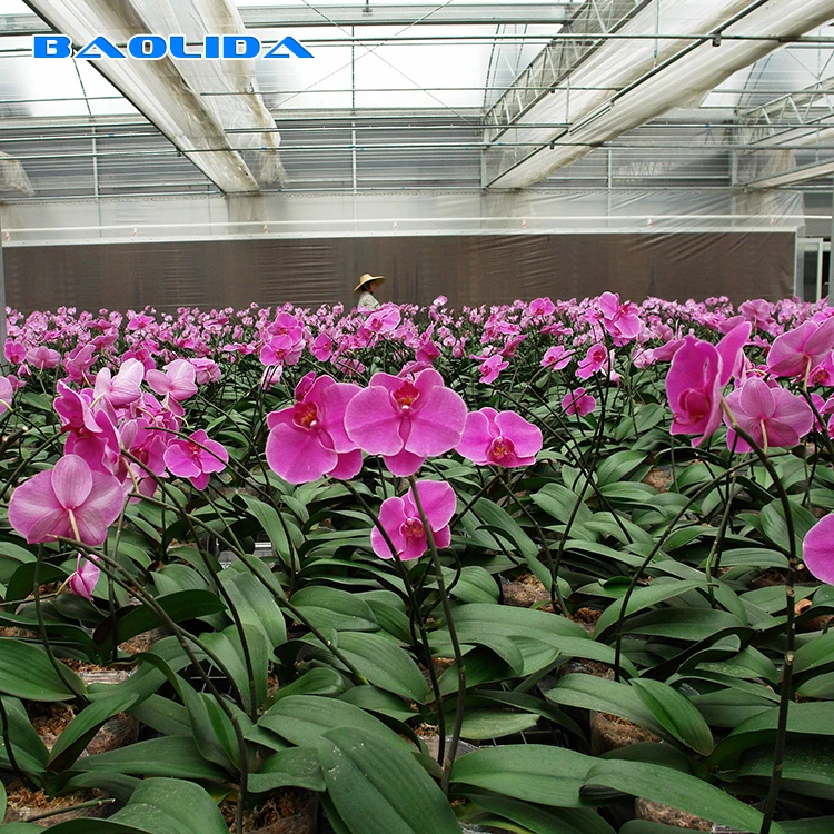 China supplier drip irrigation system in greenhouse .JPG