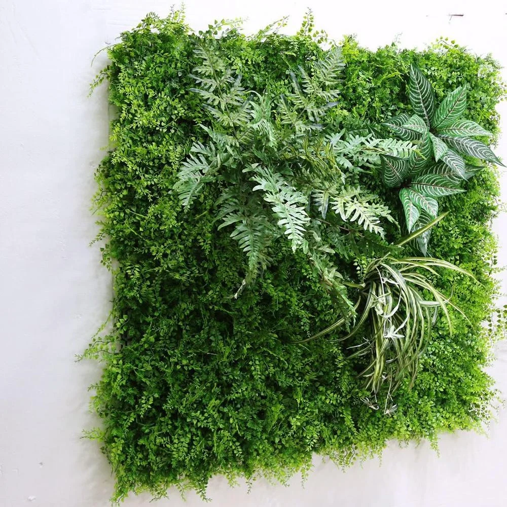 

Bad Weather Resistant Durable Exterior Decor Artificial Seamless Green Wall Mat Mixed Plant Panels with Bamboo Fern 100X100 CM