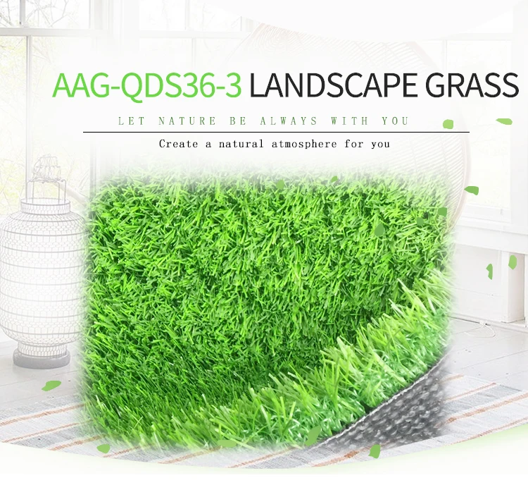 AAG-QDS36-3-01