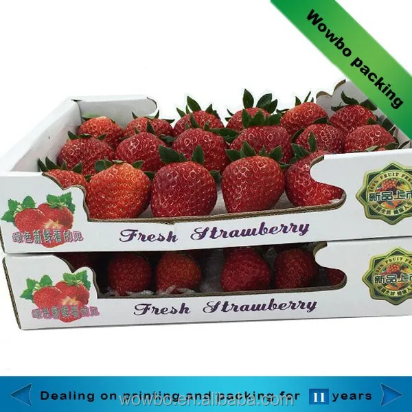 Strawberry Packing Box Two Layers 