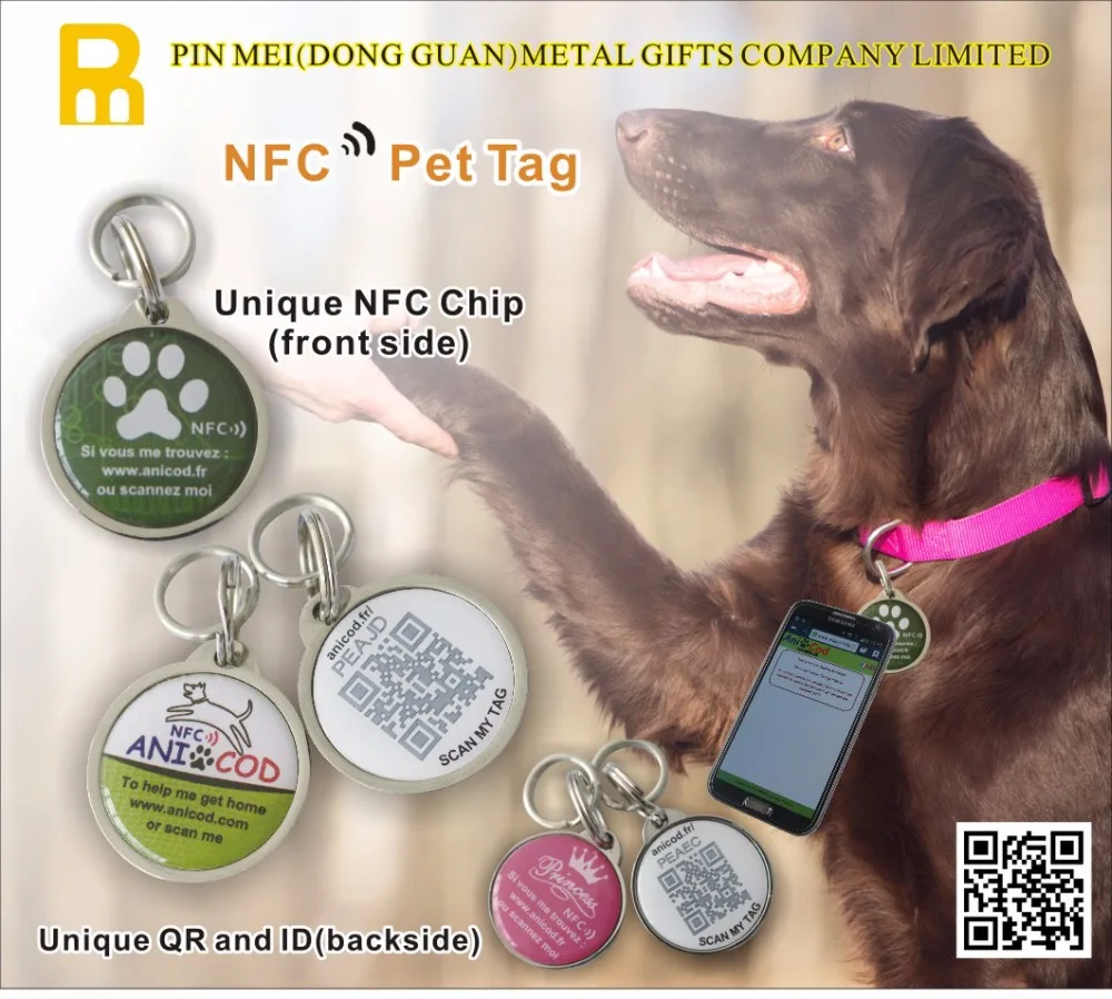 13.56mhz Nfc Ntag213 Waterproof Rfid Pet Tag/key Chain - Buy 13.56mhz ...