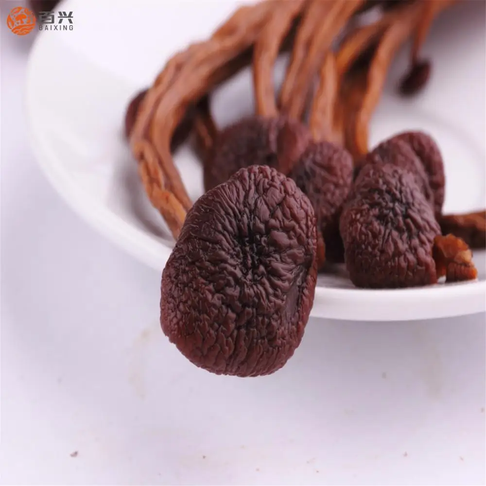 
High Performance Dried Agrocybe Cylindracea 